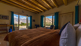 Nubra Ecolodge-Cottage-7