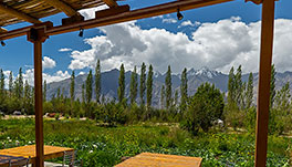 Nubra Ecolodge-Cottage-12