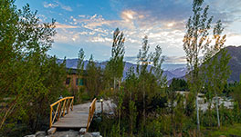 Nubra Ecolodge-dining-1