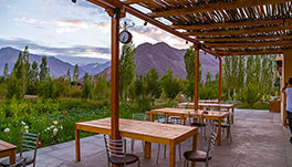 Nubra Ecolodge-Guest Room-1