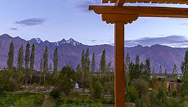 Nubra Ecolodge-Guest Room-1