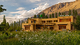 Nubra Ecolodge-cottage-view