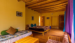 Nubra Ecolodge-Guest Room-1