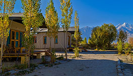 Nubra Ecolodge-Guest Room-1