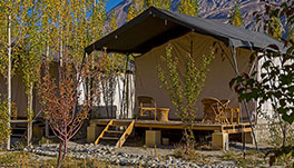 Nubra Ecolodge-Guest Room-1