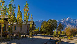 Nubra Ecolodge-Guest Room-1