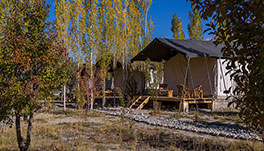 Nubra Ecolodge-Guest Room-1