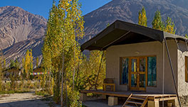 Nubra Ecolodge-Guest Room-1