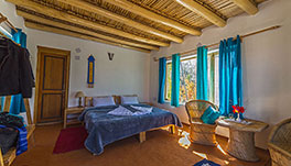 Nubra Ecolodge-Guest Room-1