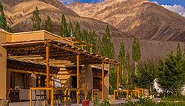 Nubra Ecolodge-Cottage-1