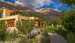 Nubra Ecolodge-Cottage-2