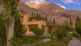 Nubra Ecolodge-Cottage-4