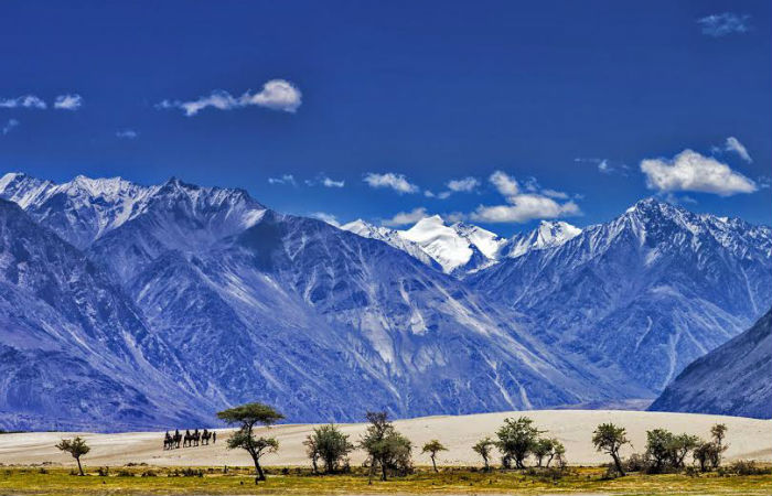 Nubra Ecolodge - Eco AC Room