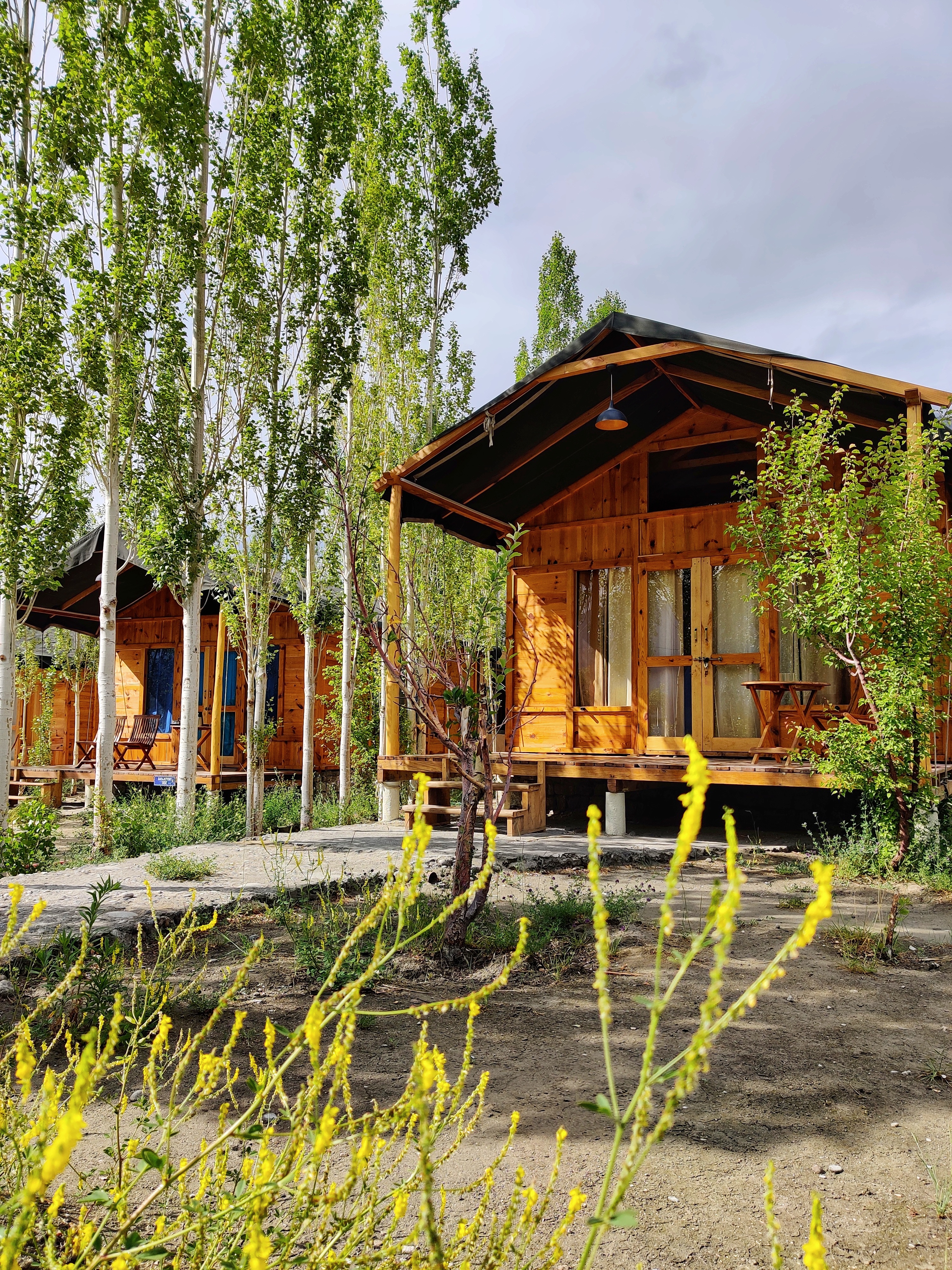 Nubra Ecolodge-Safari Tent11