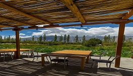 Nubra Ecolodge-Main-House-1