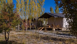 Nubra Ecolodge-Main-House-1