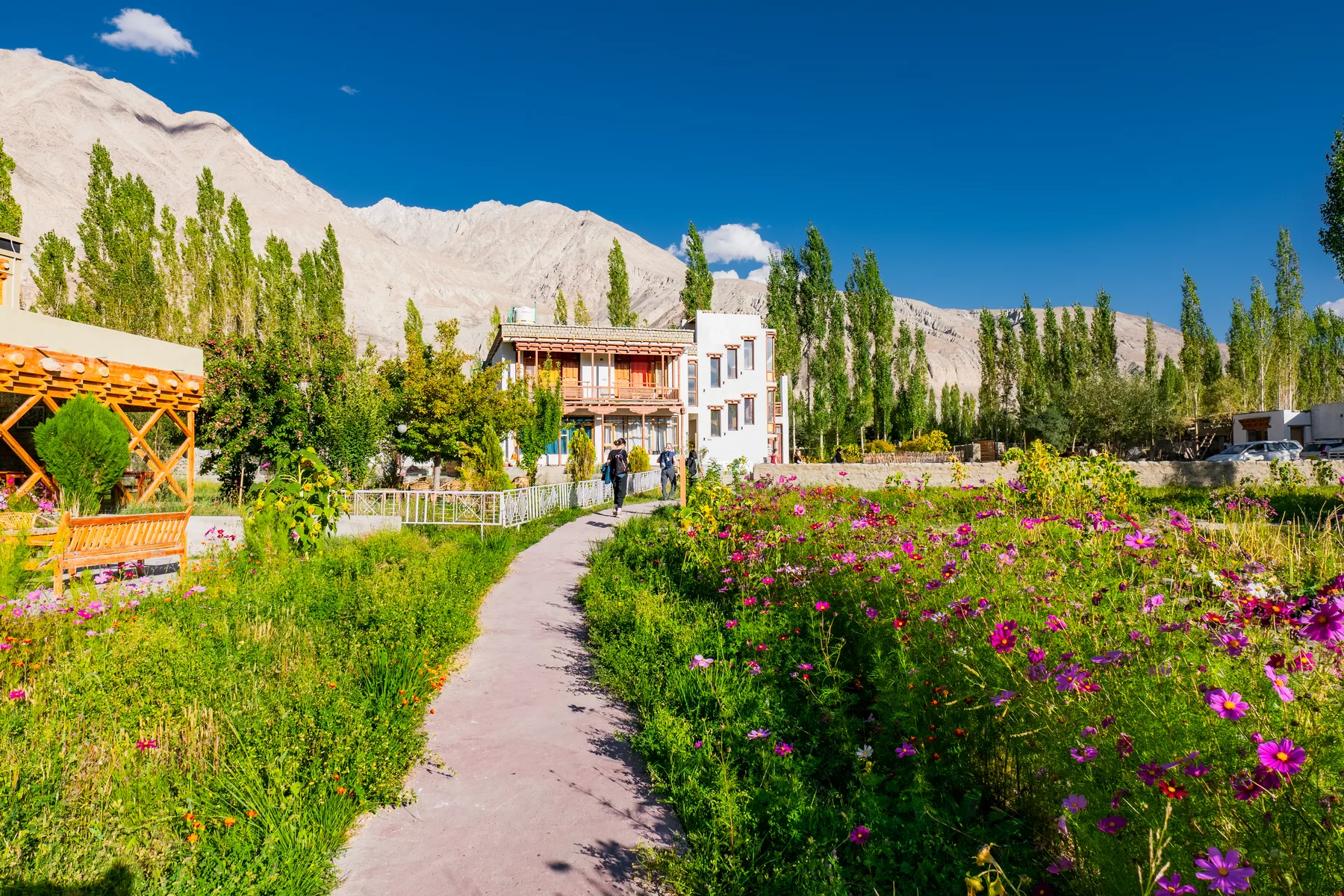 Garden path at Nubra Ecolodge