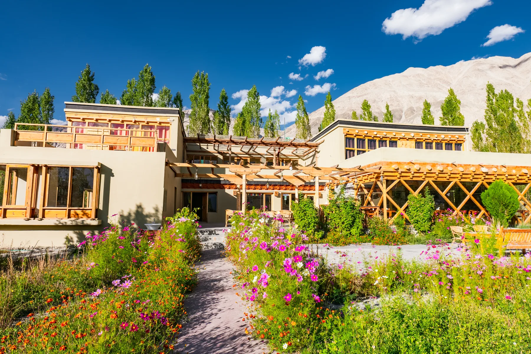 Nubra Ecolodge among gardens