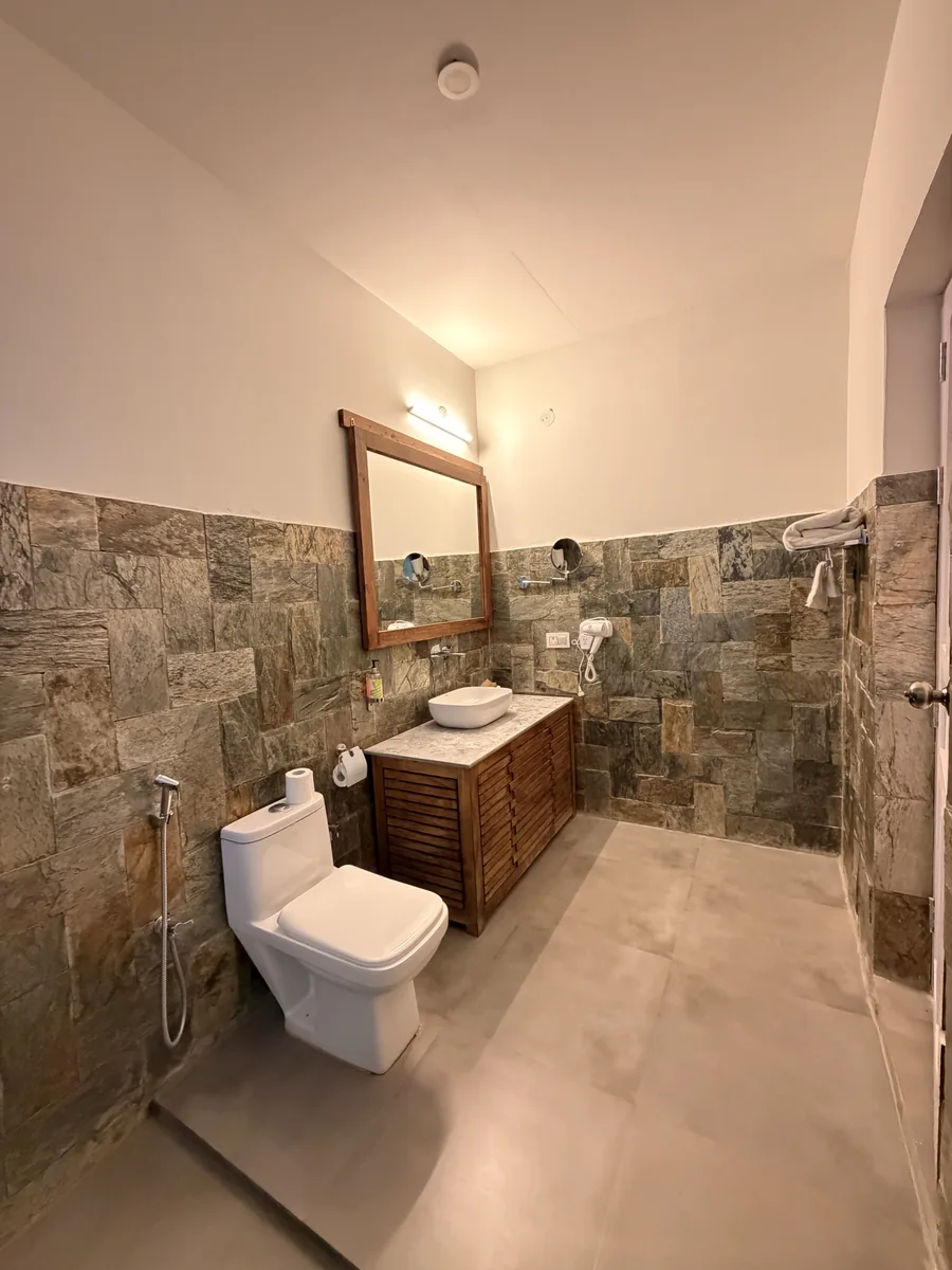 Deluxe Room photo 6