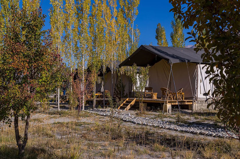 Nubra Ecolodge-Safari Tent6